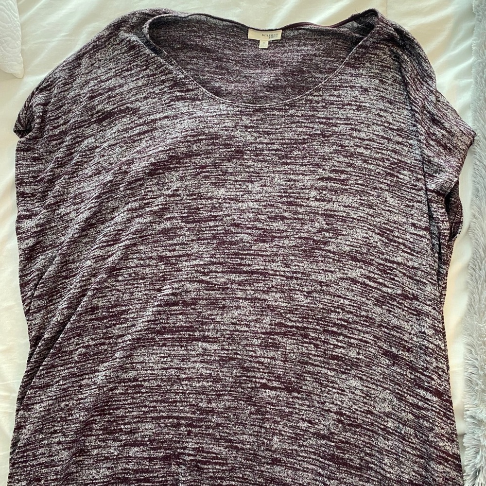 Aritzia t-shirt dress